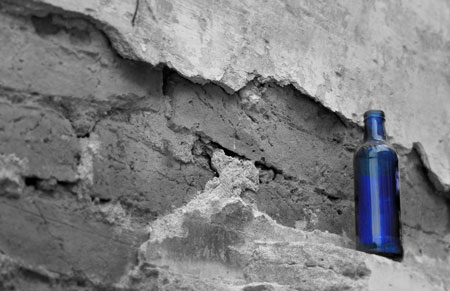 bluebottle.jpg