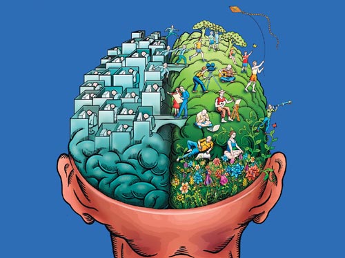 brain.jpg