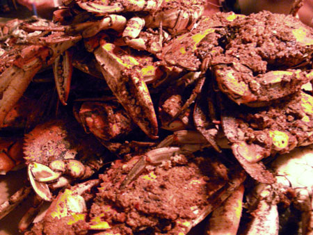 crabnight2.jpg