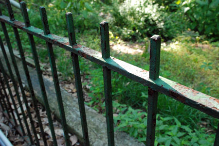 fencebefore.jpg