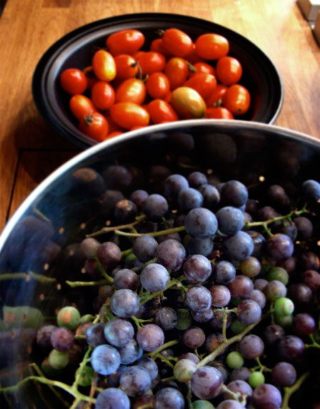 harvest08.jpg