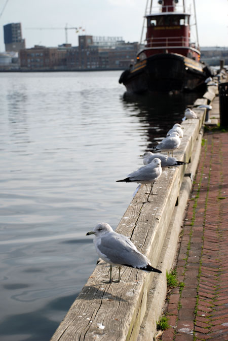 phototest1.jpg