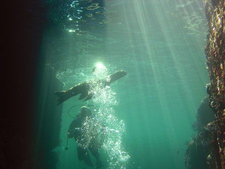 scuba4.jpg