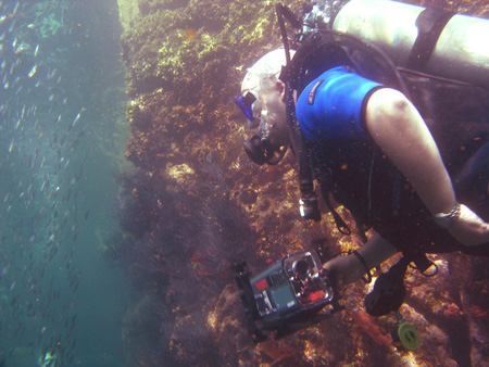 scuba5.jpg