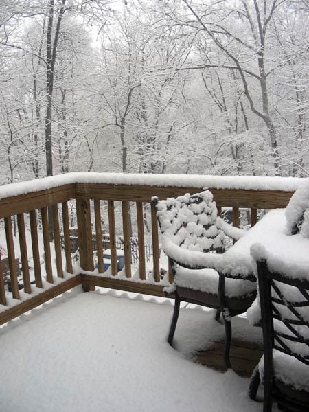 snow08jan.jpg