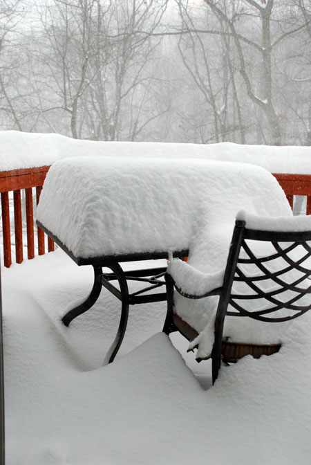 snowedin.jpg