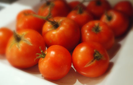 tomatos.jpg