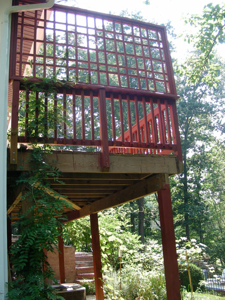 trellis.jpg